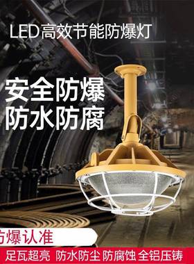 供应LED一体免维护油站仓库车间工矿防爆灯厂房地雷吸顶灯