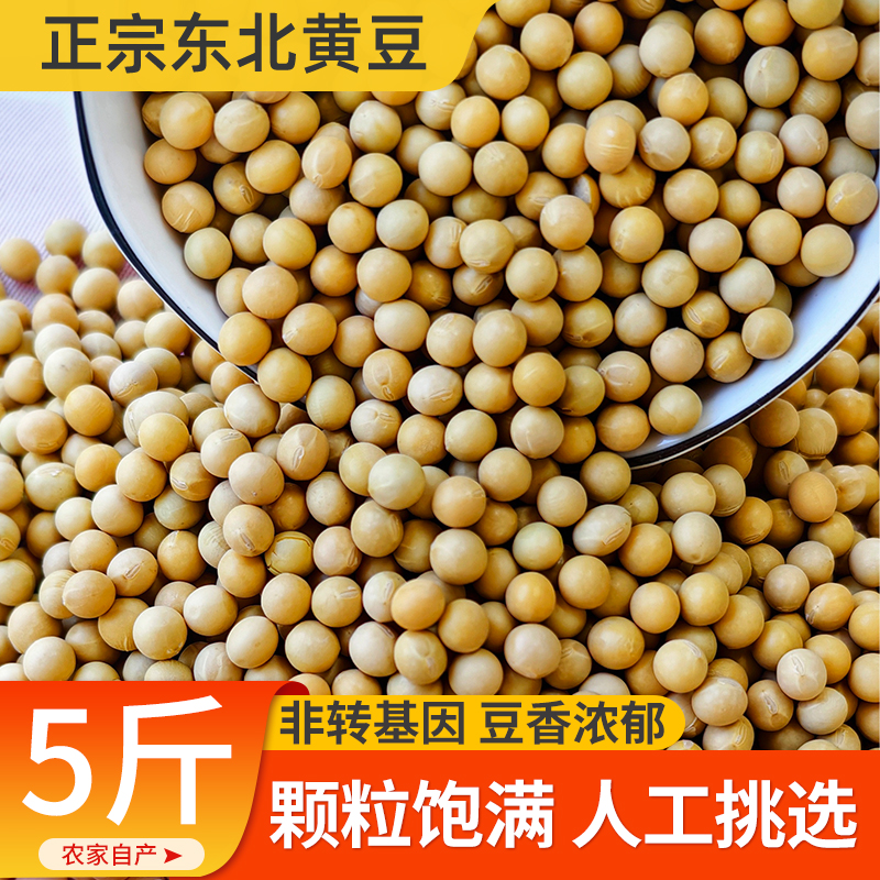 东北非转基因新黄豆5斤