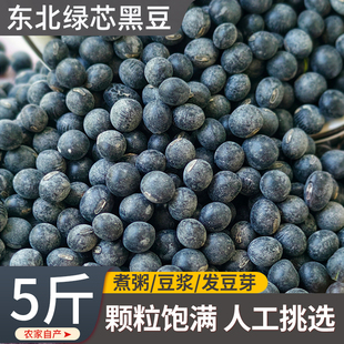 2025年新豆5斤东北黑豆绿芯打豆浆专用装醋泡黑豆黄心新货农家