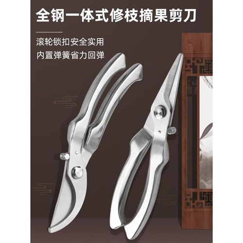 园艺剪枝剪刀修枝剪不锈钢果树园林树枝盆景修剪造型专用剪子工具