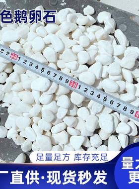 生产白石子造景白色鹅卵石枯山水园林绿化铺面用白色石子