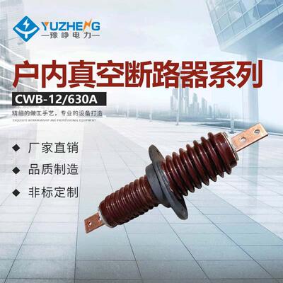 CB.CWB-10/630A户内外铜导体园铜棒穿墙套管绝缘