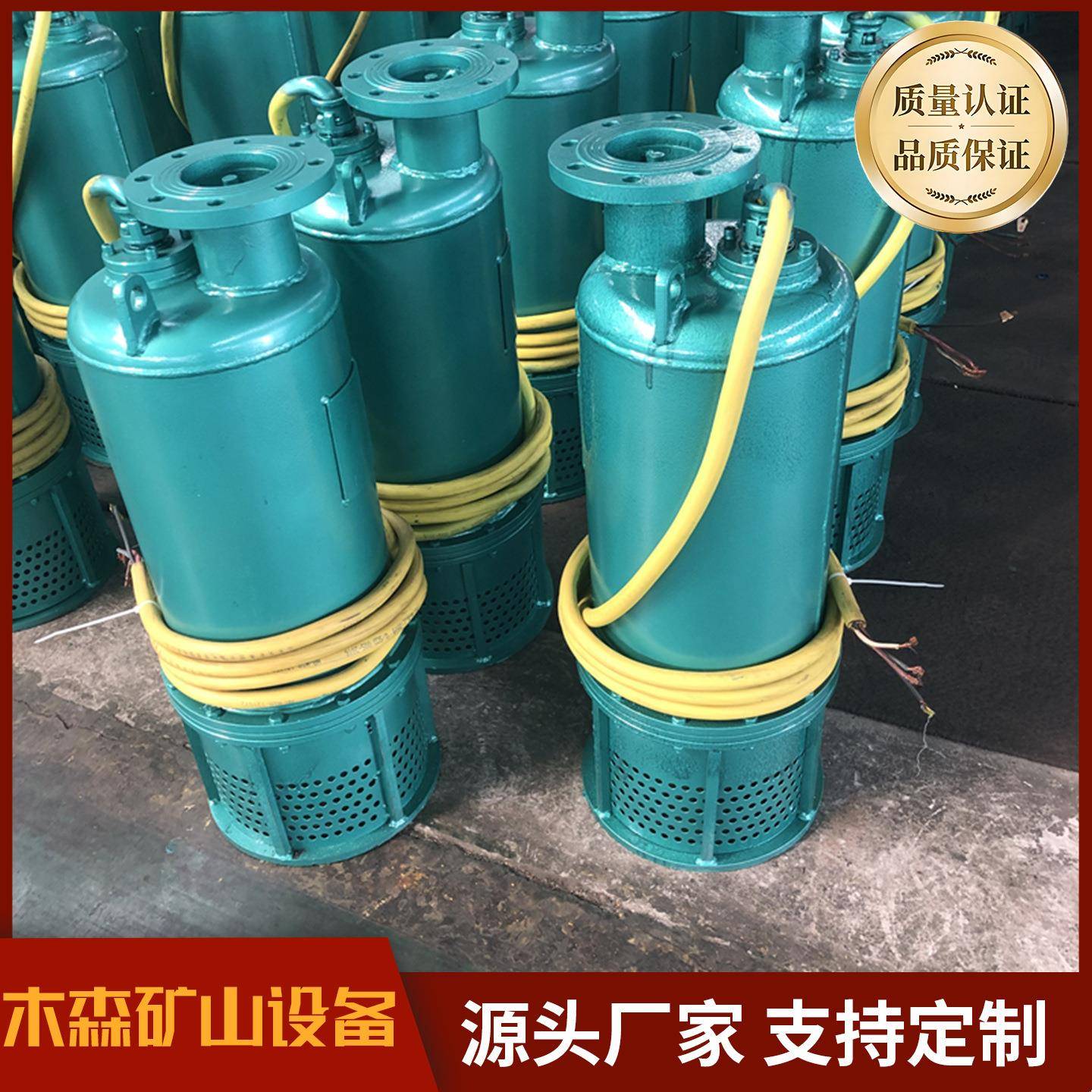 BQS矿用隔爆型潜水泵380v井下排污泵大功率增压泵煤矿防爆潜水泵