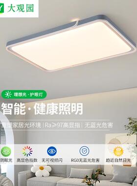 大观园客厅灯现代简约护眼吸顶灯新款卧室灯房间灯客厅吸顶灯357L