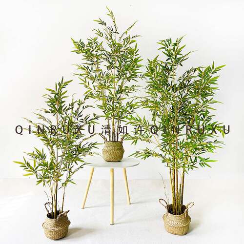 可拆卸树绿植仿真竹子装饰隔断仿真胶片竹叶盆栽金丝竹中式盆景