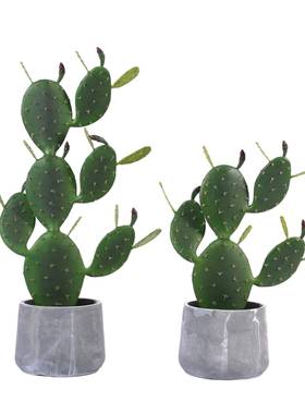 现代简约盆栽绿色清新仿真绿植办公桌摆饰无异味塑料过胶款式多样