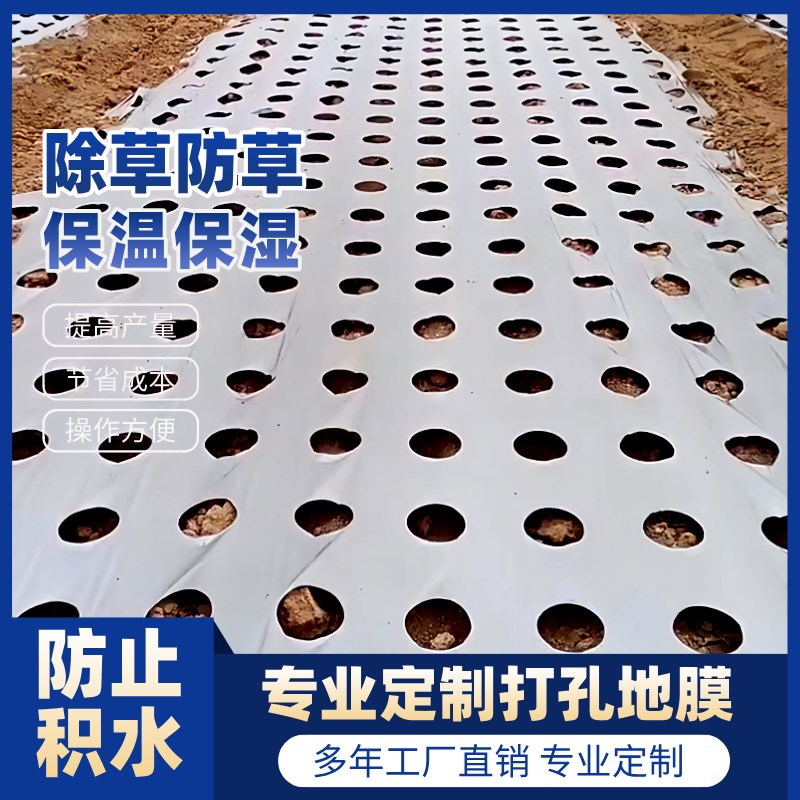 农用种植打孔地膜黑膜防草菜地玉米开H孔带孔薄膜银黑地膜免打孔