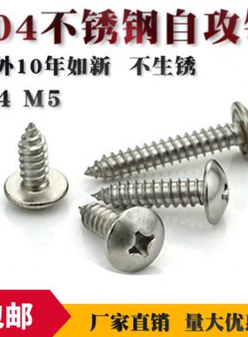 M4 M5  304不锈钢大扁头自攻螺丝钉蘑菇头大圆头木螺钉 M3.9 M4.8