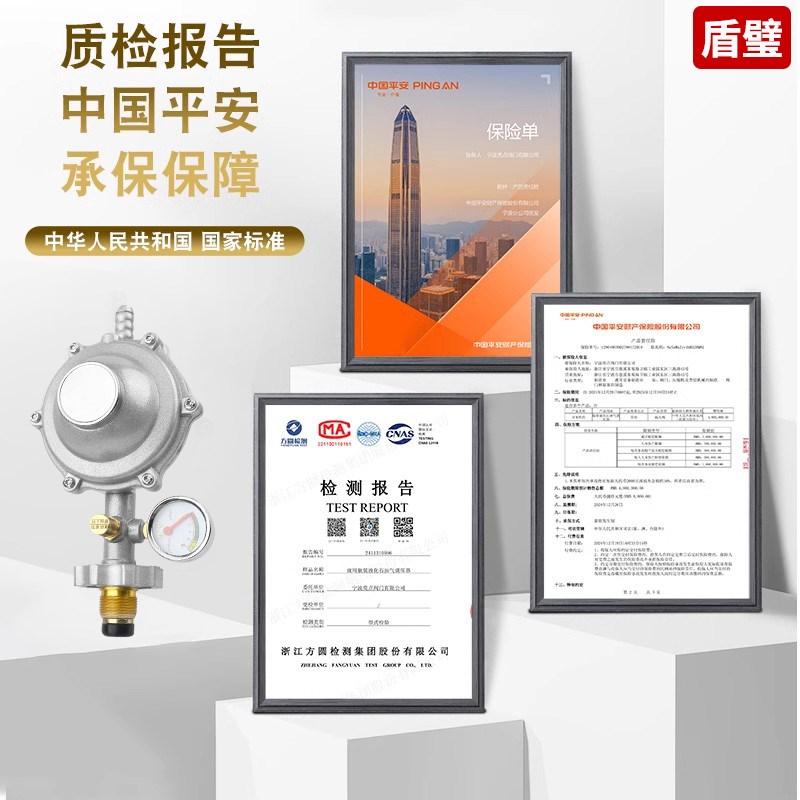 防爆减压阀液化气安全关闭阀低压阀燃气煤气阀新国标家用排气单向