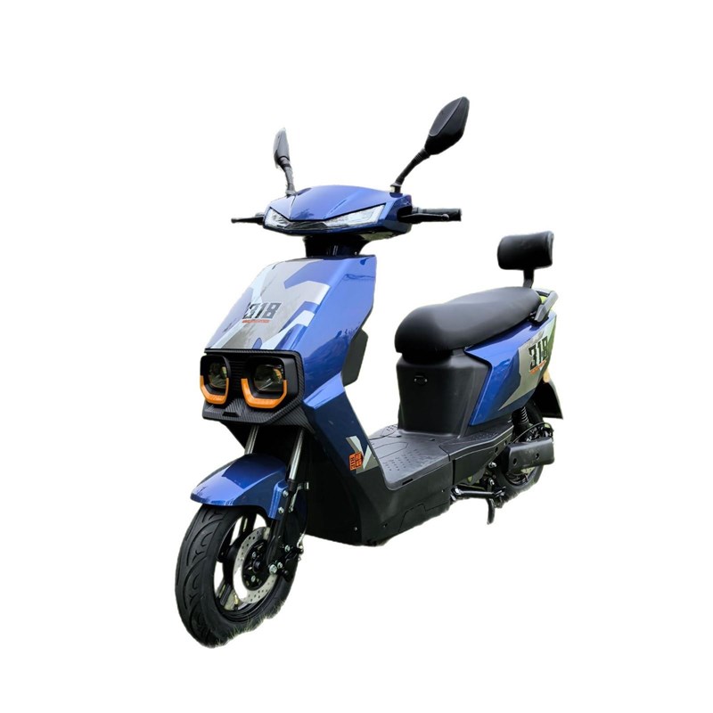跨境出口318电摩 锂电铅酸通用电瓶车 高速高性能电动电瓶车