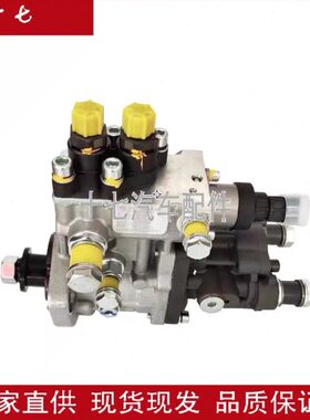 全新原装重汽重庆电喷油泵总成CB2E916A配云内YN38CR发动机柴油泵