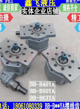 BB-B40YA/BB-B50YA/BB-B63YA ∮16轴径 摆线齿轮油泵安全阀 法兰
