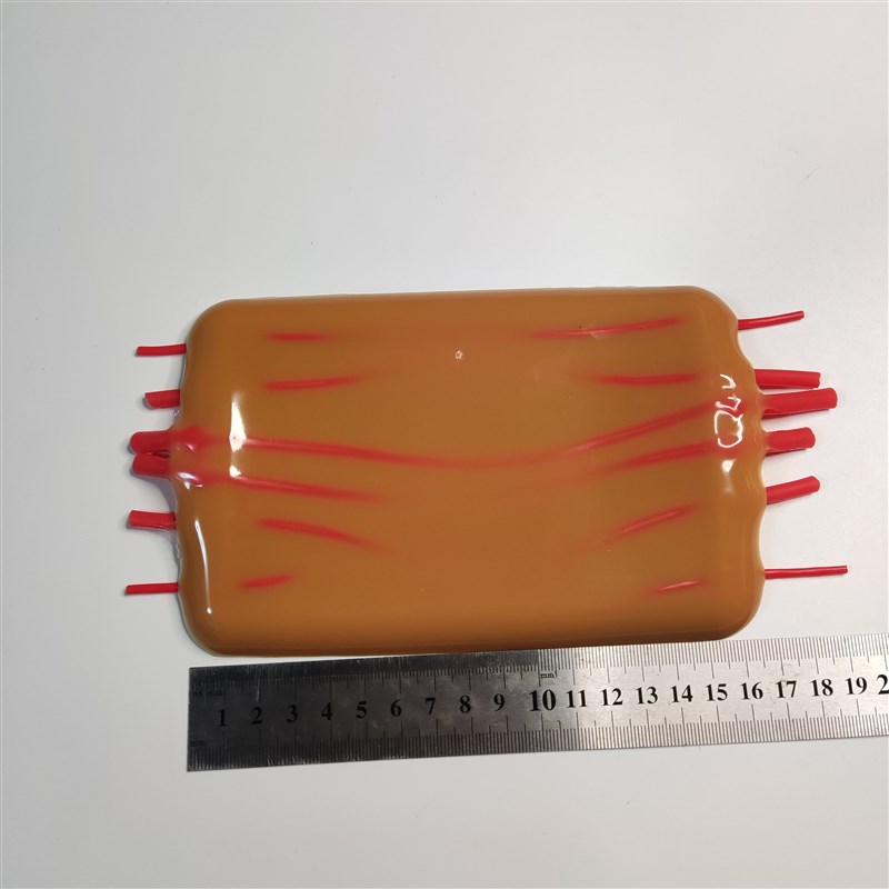 模拟皮肤血管分离结扎静脉注射采血训练模块模型