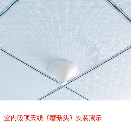 手机信号放大器专用通用蘑菇头三网合一室内天线2G3G4G 只是配件