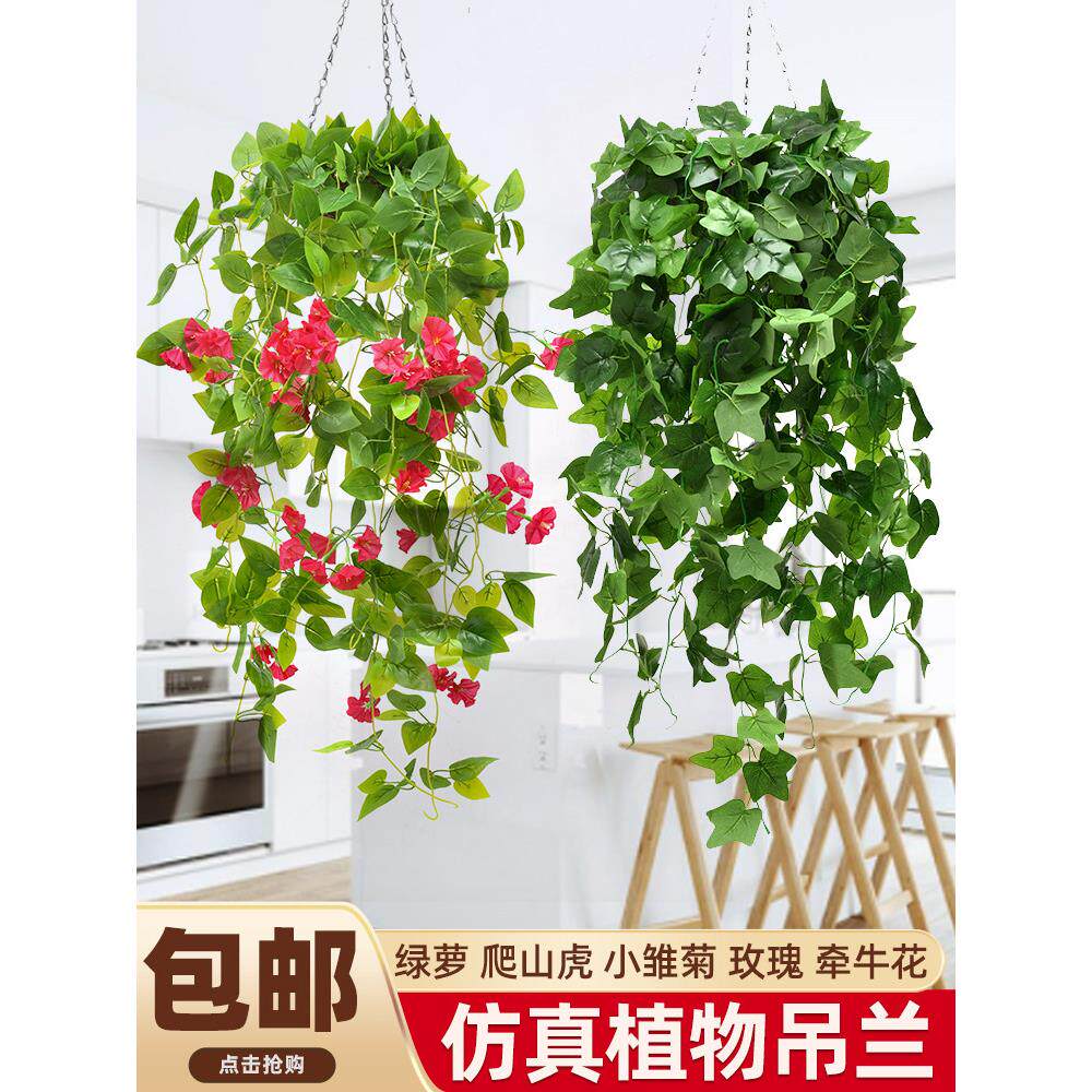 吊兰垂吊植物彷真壁挂客厅藤蔓装饰绿植假花藤条绿萝吊篮吊顶装饰