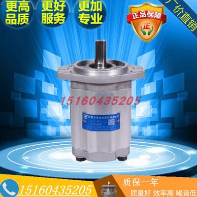 合肥长源齿轮泵CBTD-F410/F412.5/F414/F416-AFP/AFH4/AFPL/AFH4L