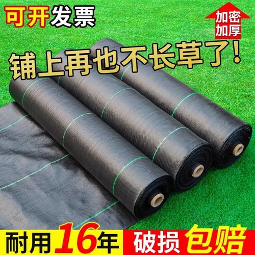 新型除草布防草网除草果树果园农用盖菜黑地布抗老化加厚pe抑草布