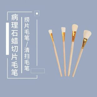病理石蜡切片捞片毛笔切片用捞片毛笔冷冻切片用毛笔切片清扫毛笔