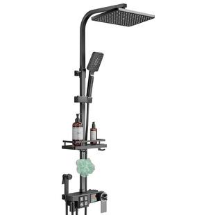 德国DS黑色淋浴花洒套装 家用全铜增压卫浴室淋雨喷龙头恒温沐浴器