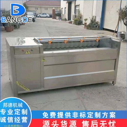 厂家供应红薯清洗去皮机 毛辊地瓜清洗机 商用大型红薯清洗机