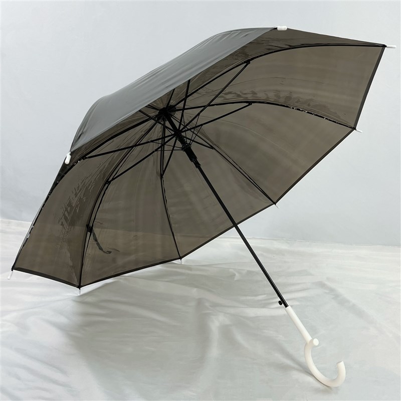 雨伞手动雨伞学生上学专用雨伞透明DC型手柄透明长伞小清新女简约