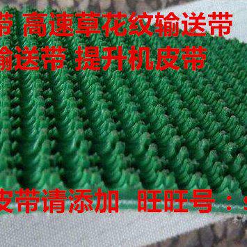 猪肉切圈切条机切肉片机海鲜切片机鱿鱼切粒机切割带花纹传送带