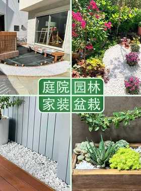 白色小石子黑色砾石园林造景灰色碎石雪花白雨花石花园铺路水洗石