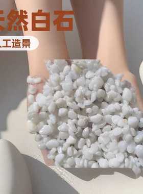 雪花白鹅卵石庭院汉白玉造景白色水洗石铺面雨花石机制白石子