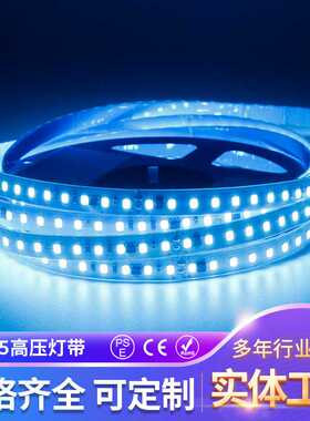 110v220v防水冰蓝led高压灯带户外防水氛围灯带高亮工程2835灯带