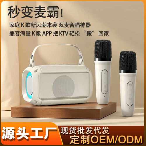 无线蓝牙音箱T33家用k歌话筒音响麦克风一体低音炮便携手提小音箱