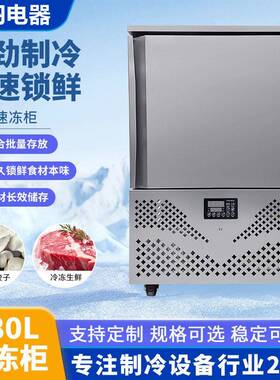 速冻柜113商用包子子团急冻柜零下40度8面0度风冷速鲜冰柜饺海速