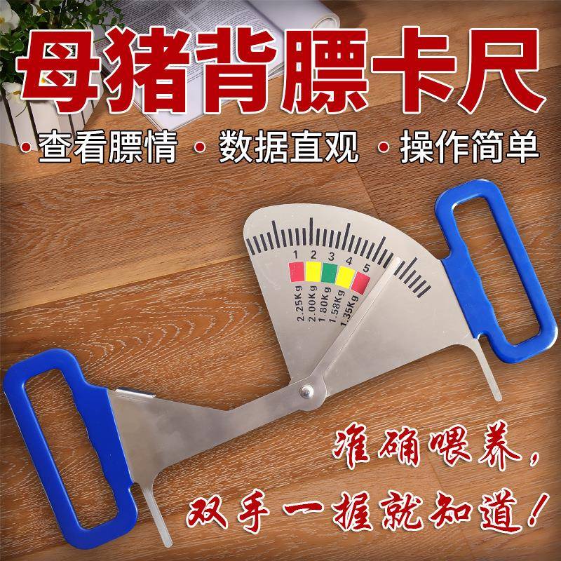 猪用饲喂卡尺不锈钢喂料管理尺猪用膘情测定指导器妊娠母猪背膘尺