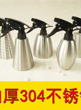 园林304不锈钢小型喷雾壶喷水喷雾器头发加湿喷壶浇花壶工具