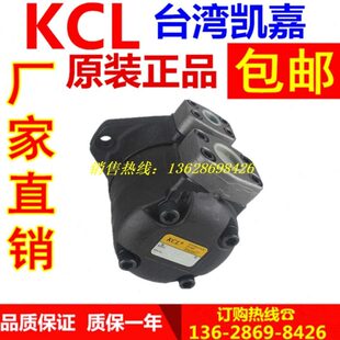 台湾KCL凯嘉DVQ45 216 RAA 01叶片泵 200 189 156 136 237