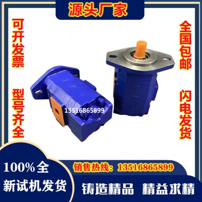 泊姆克P124-G16182LD54GBO齿轮泵P124-G16182LD-54G877-01109油泵