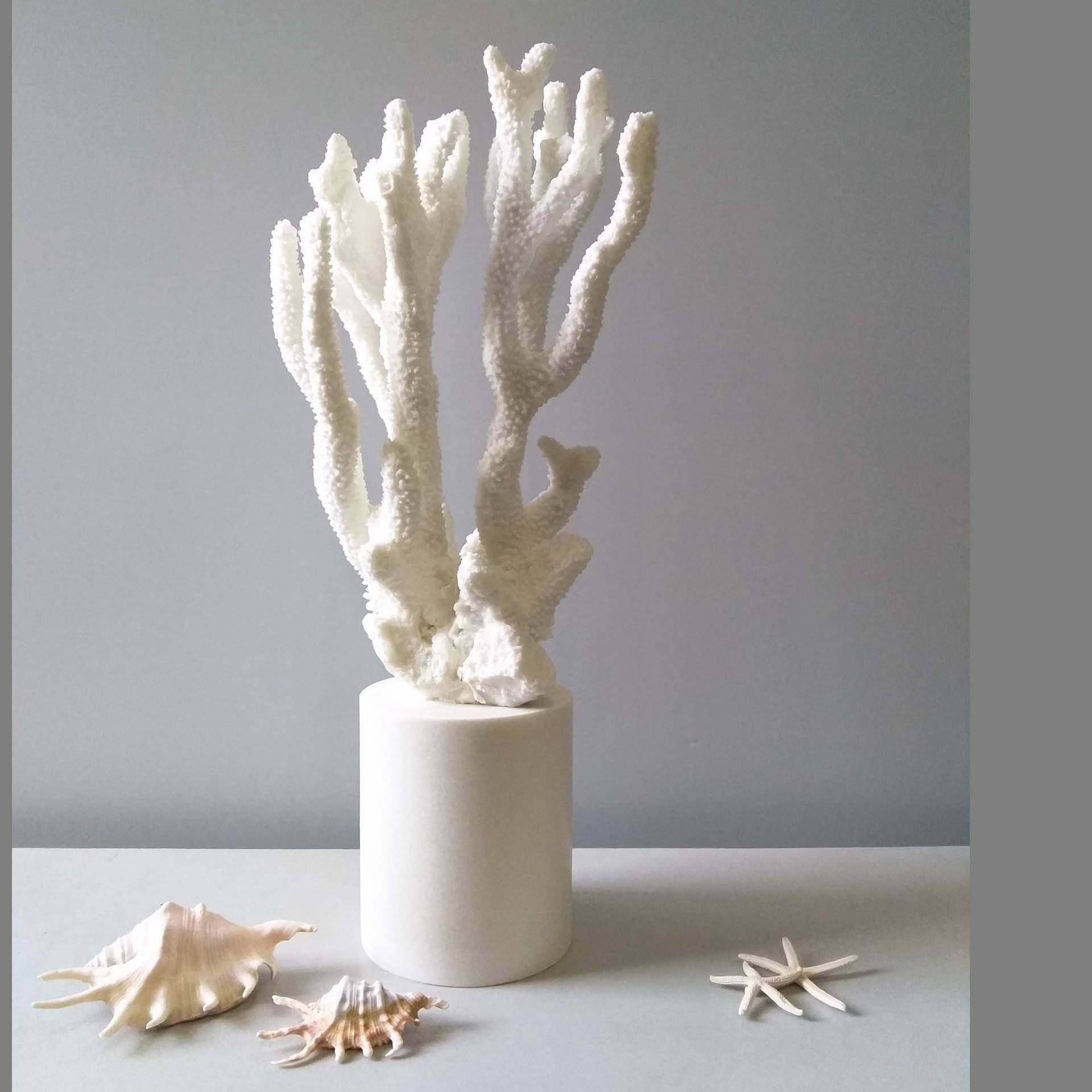 创意简约仿真珊瑚树脂工艺品摆件样板房客厅茶几家居艺术摆件,鲜花速递/花卉仿真/绿植园艺,割草机/草坪机,淘宝优惠券,粉丝福利购,淘宝优惠卷