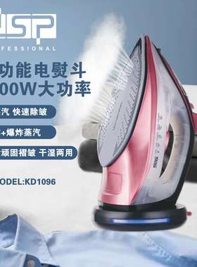 DSP/丹松多功能蒸汽熨斗2000w大功率快速除皱电熨斗干湿两用护衣