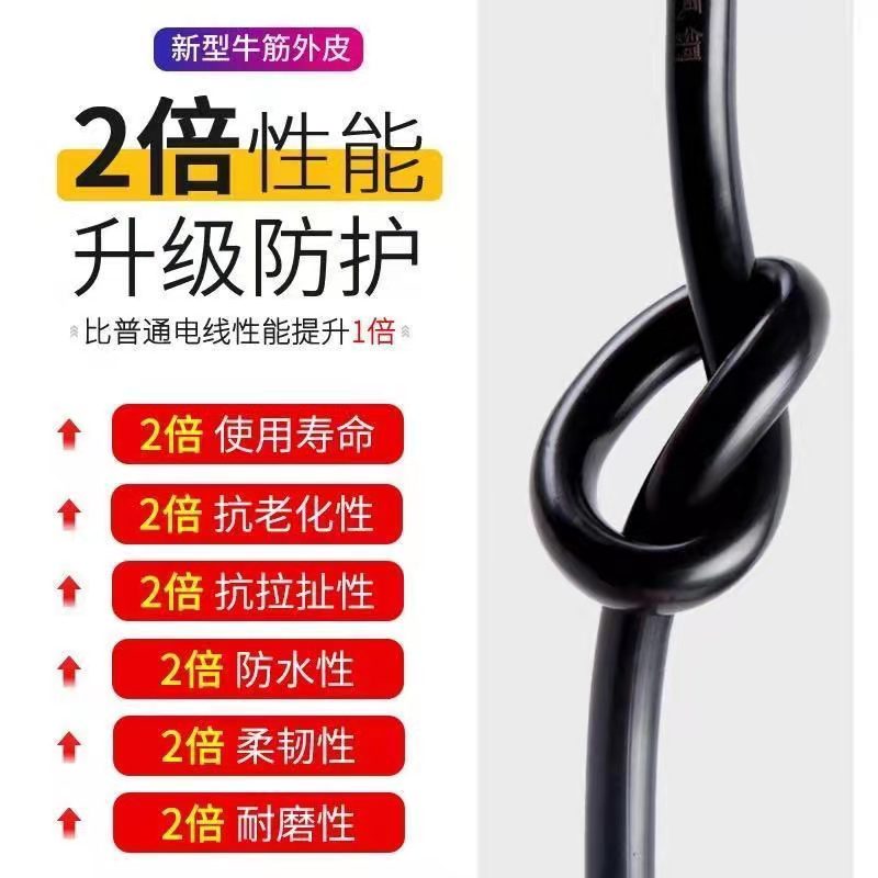 工程电线国标e电缆线2芯3芯2.5平方护套线户外家用防水防冻电源线