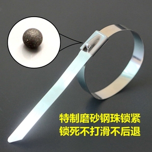 304不锈钢扎带7.9 r300工具钳固定桥架卡扣船用防盗锁扣拉紧器抱