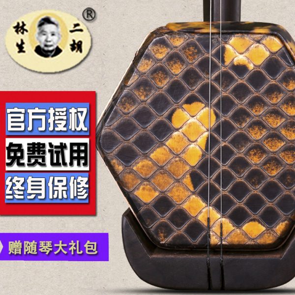 陆林生二胡 陆林生四星老红木 考级演奏二胡