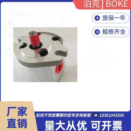 SUORUI齿轮油泵HGP- 1A 2A 3A-F 4 5 6 8 12 9 R L RX 2B 4B 铸铁