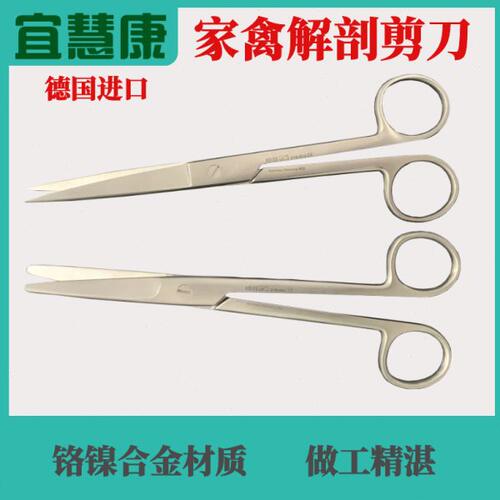 家禽解剖剪刀鸡鸭鹅等禽类用解剖剪刀兽医用解剖剪实验室用剪刀