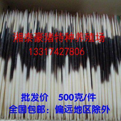 养殖豪猪刺 豪猪毛 刺猪刺 箭猪刺  500克一件 包邮