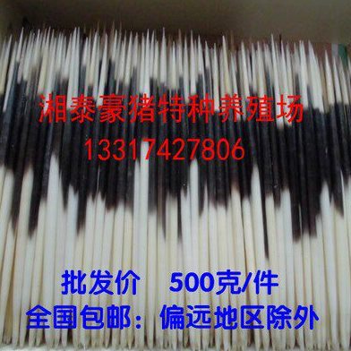 养殖豪猪刺 豪猪毛 刺猪刺 箭猪刺  500克一件 包邮