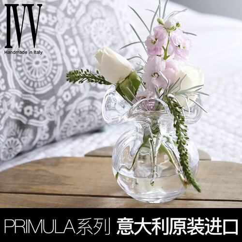 意大利ivv进口水晶玻璃客厅茶几水养插花器玄关鲜花花瓶大号透明