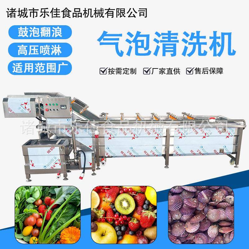 果蔬气泡清洗机花椰菜秋葵喷淋洗菜机韭菜小青葱净菜加工设备