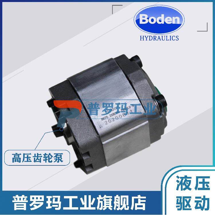 微型齿轮泵BKP0.25BOSO.19GOLO-BBKP0.25B0D0.26GOLO-B