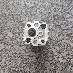 F0.8D 小排量齿轮泵 CBK 油泵 打胶泵 微型齿轮泵