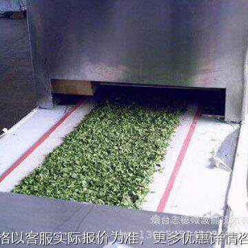 艾草微波烘干隧道炉 连续性艾叶干燥脱水设备 微波烘干设备