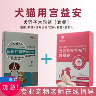 宠物宫焱清狗狗蓄脓积液猫咪产后护理母犬生殖道感染安共消宫妙平